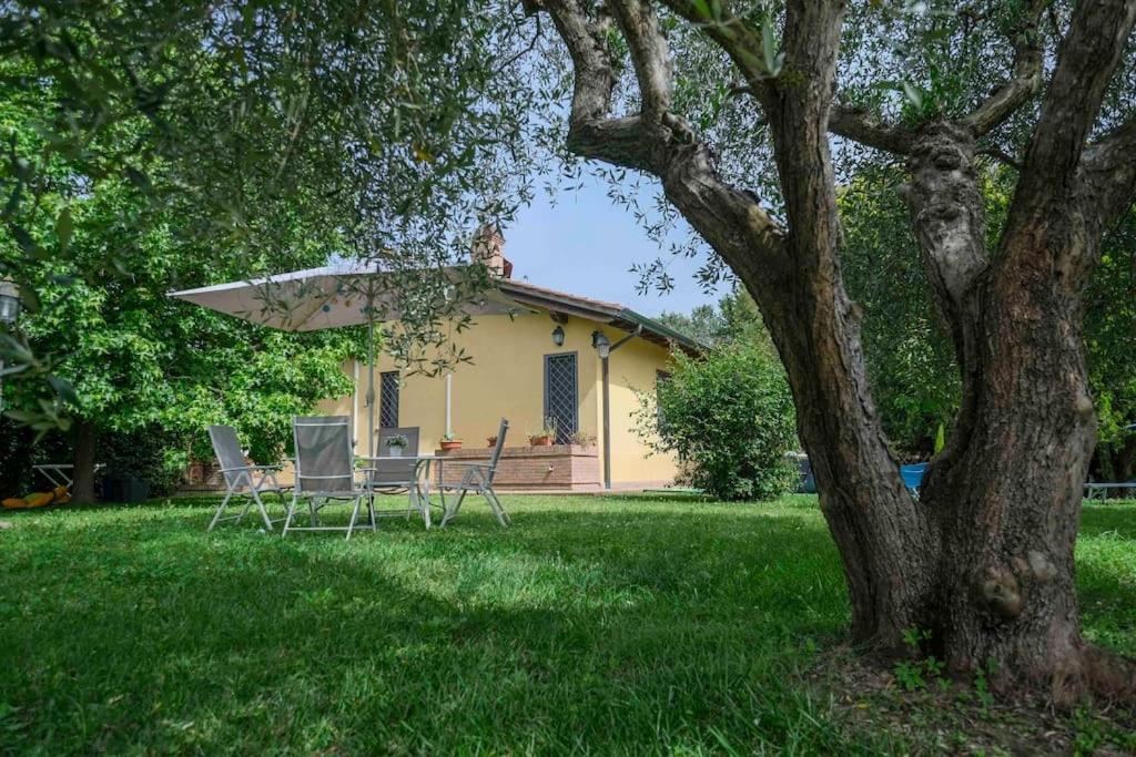 Villa Luxury Pool & Garden Pisa Buitenkant foto