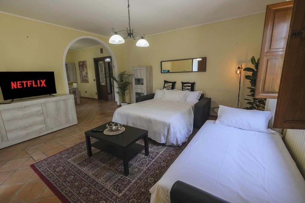 Villa Luxury Pool & Garden Pisa Buitenkant foto
